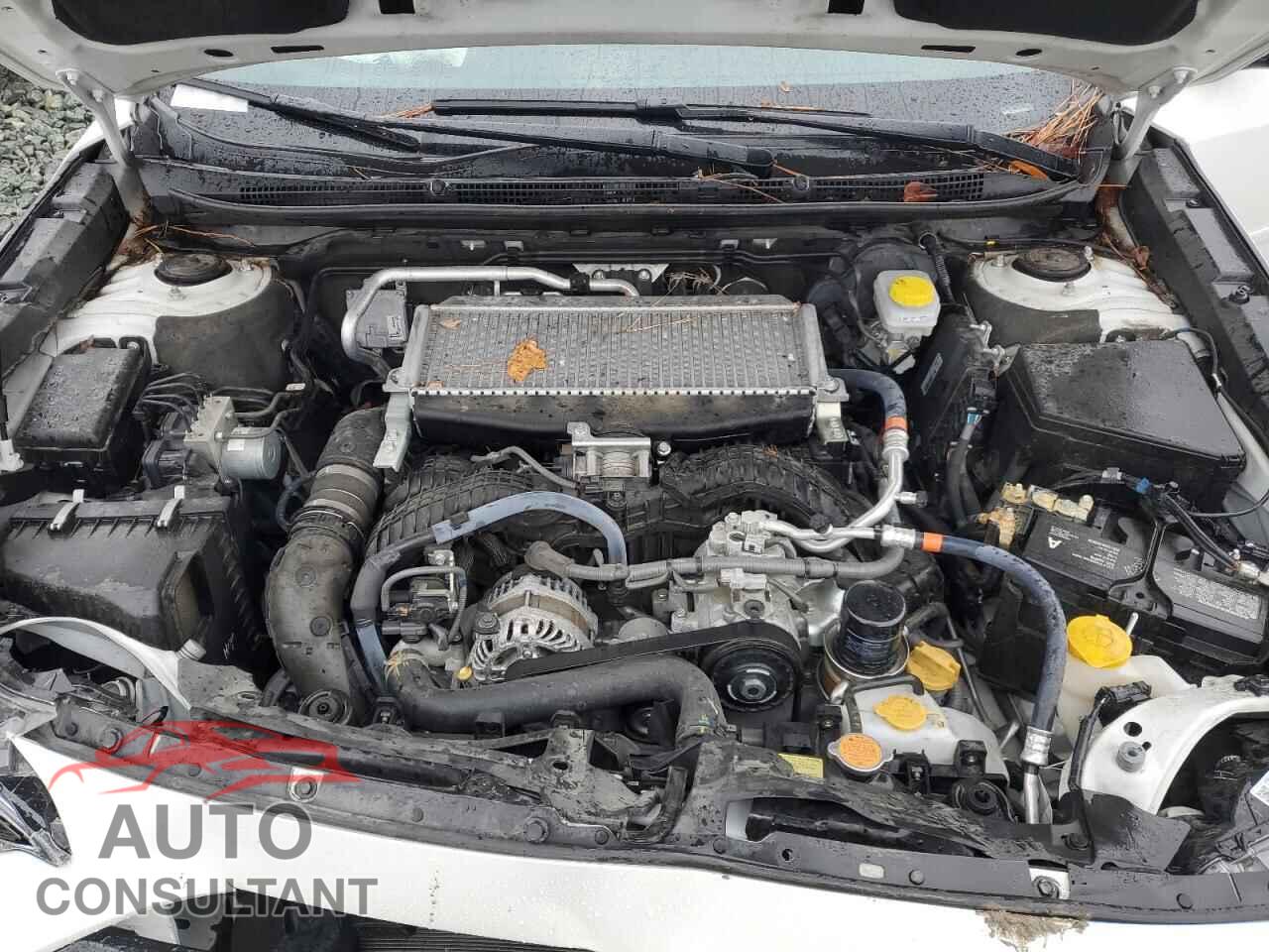SUBARU OUTBACK 2024 - 4S4BTGLD7R3145955