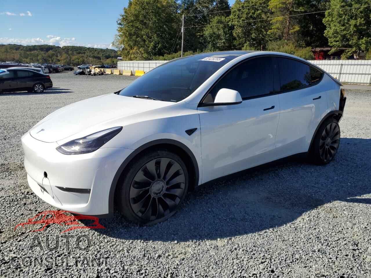 TESLA MODEL Y 2025 - 7SAYGDEF1SA344167