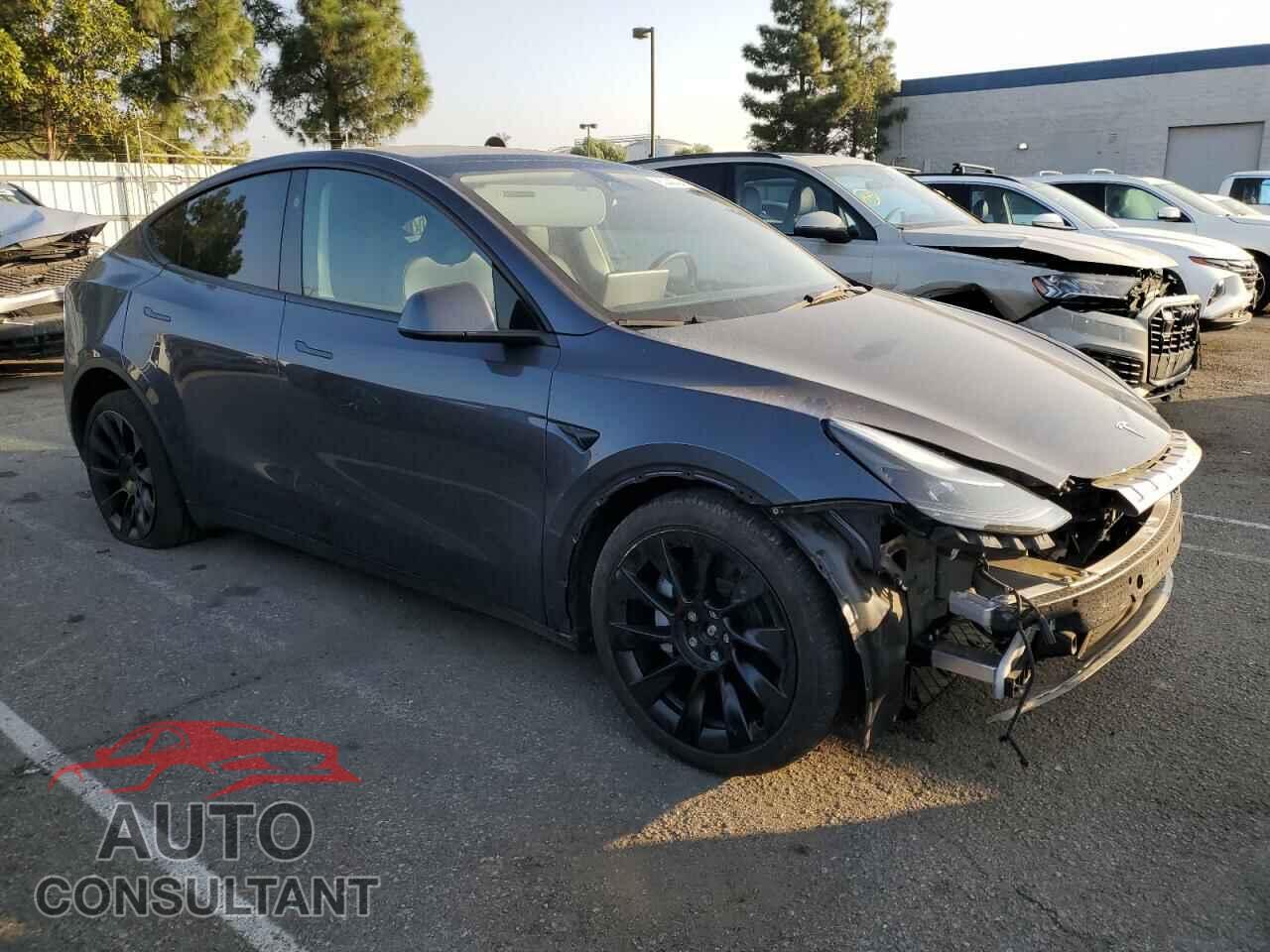 TESLA MODEL Y 2023 - 7SAYGDEE7PF844335