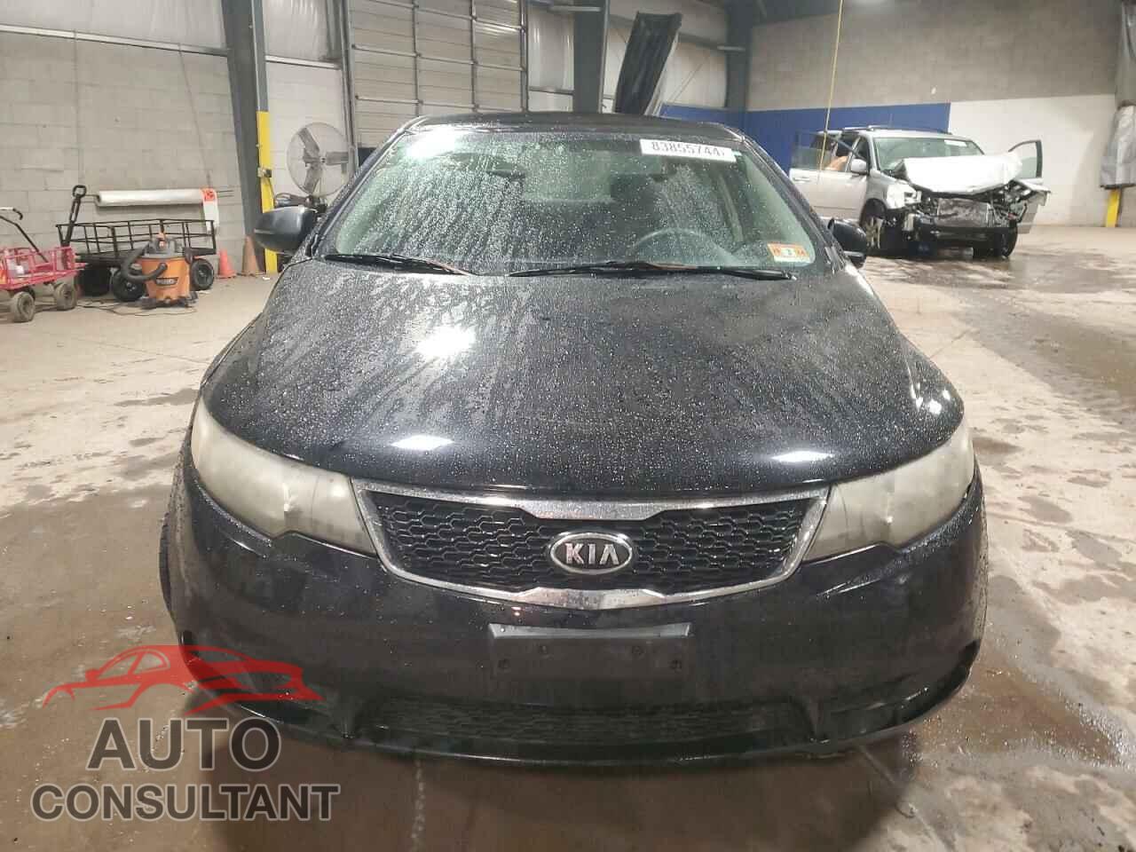 KIA FORTE 2012 - KNAFU4A29C5526119