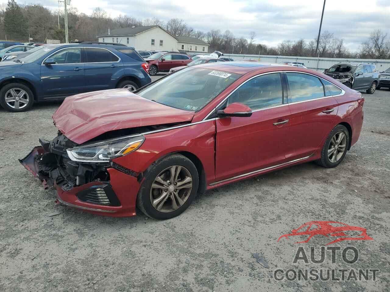 HYUNDAI SONATA 2019 - 5NPE34AF5KH799996