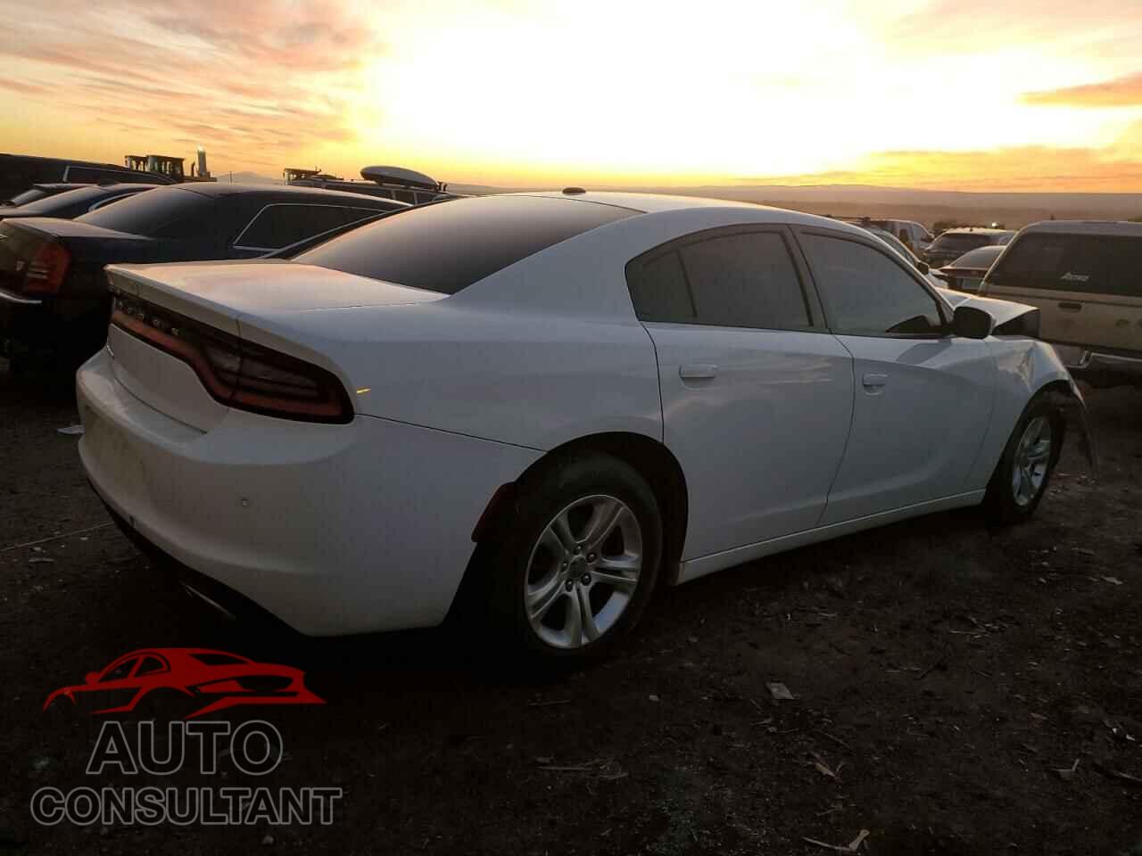 DODGE CHARGER 2020 - 2C3CDXBGXLH237202