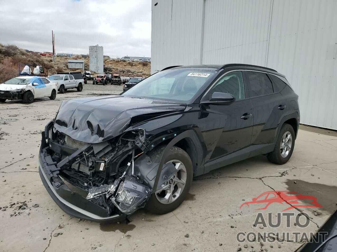 HYUNDAI TUCSON 2024 - 5NMJBCDE4RH346314