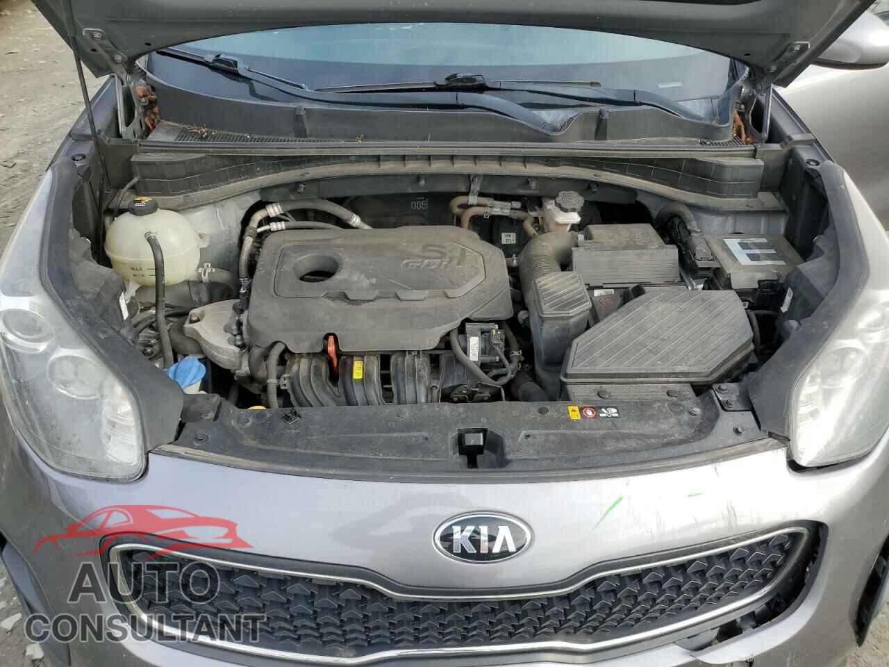 KIA SPORTAGE 2017 - KNDPM3AC8H7210751