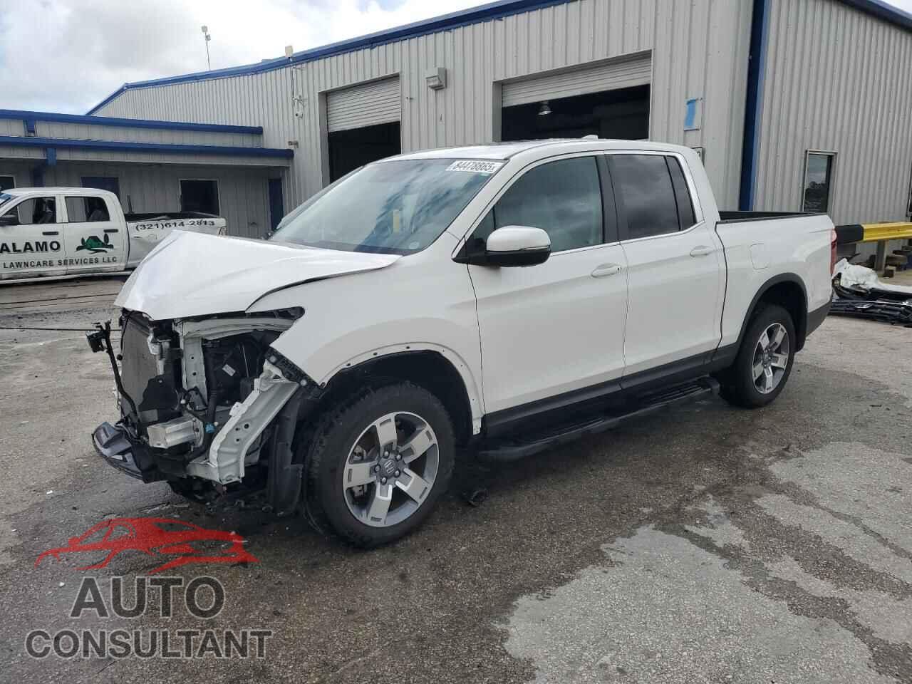 HONDA RIDGELINE 2024 - 5FPYK3F52RB026977