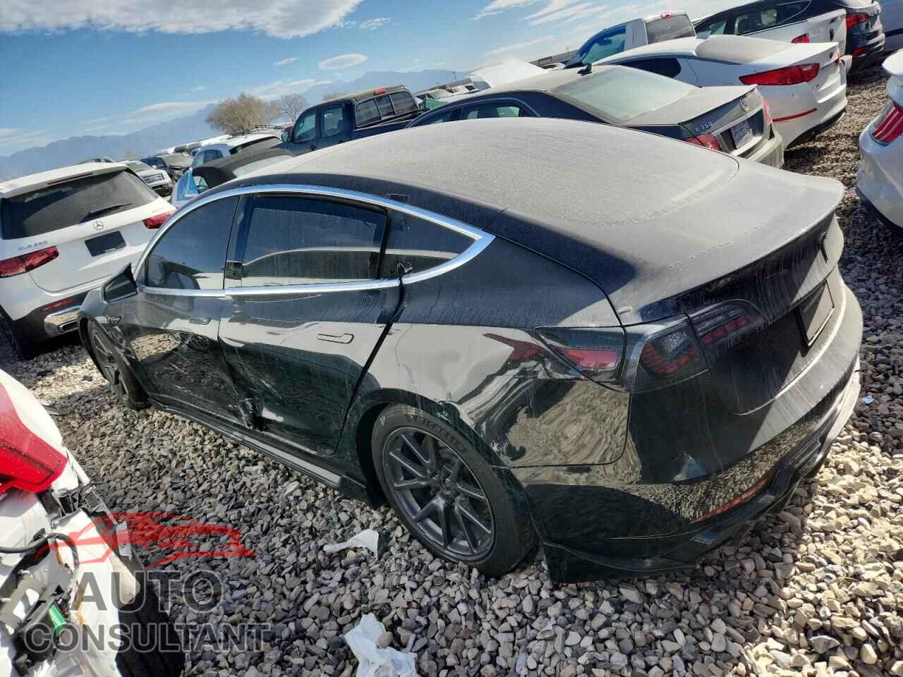 TESLA MODEL 3 2019 - 5YJ3E1EA6KF399359