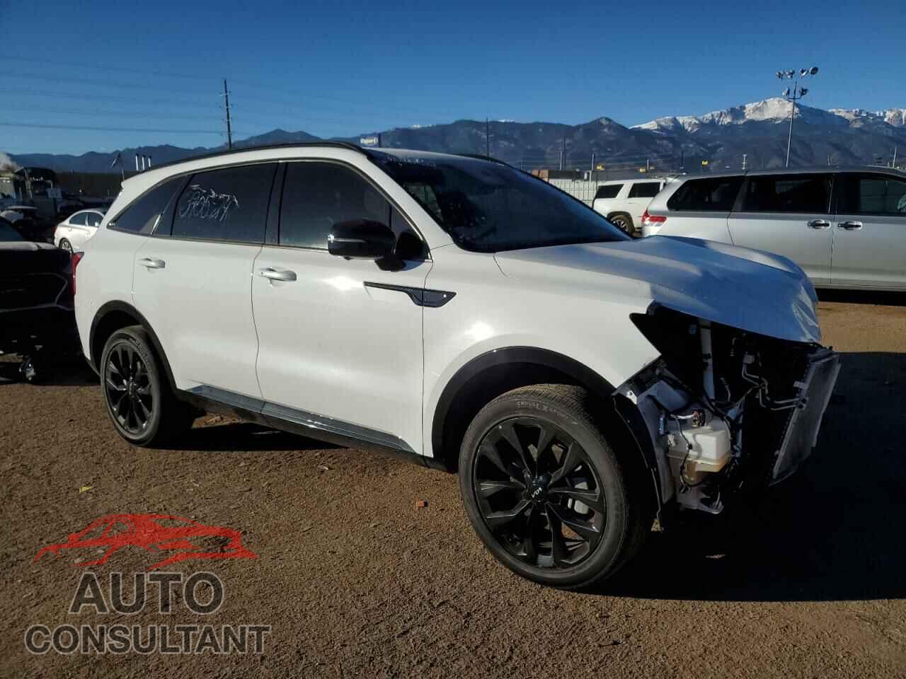 KIA SORENTO 2023 - 5XYRKDLF4PG251116