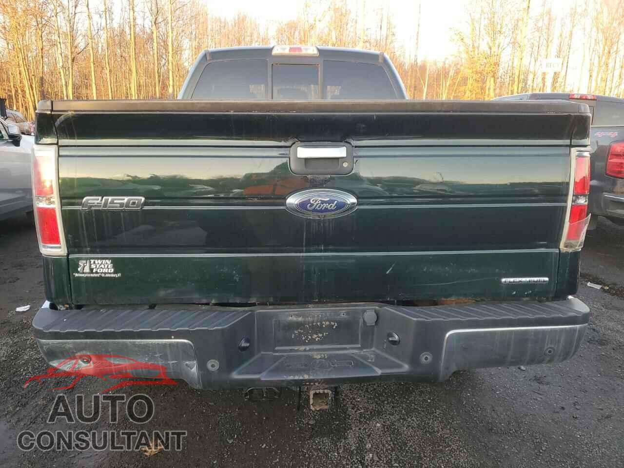 FORD F-150 2013 - 1FTFX1EF9DFD21479