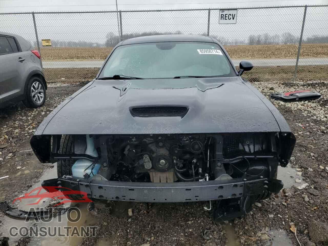 DODGE CHALLENGER 2019 - 2C3CDZKG3KH676221