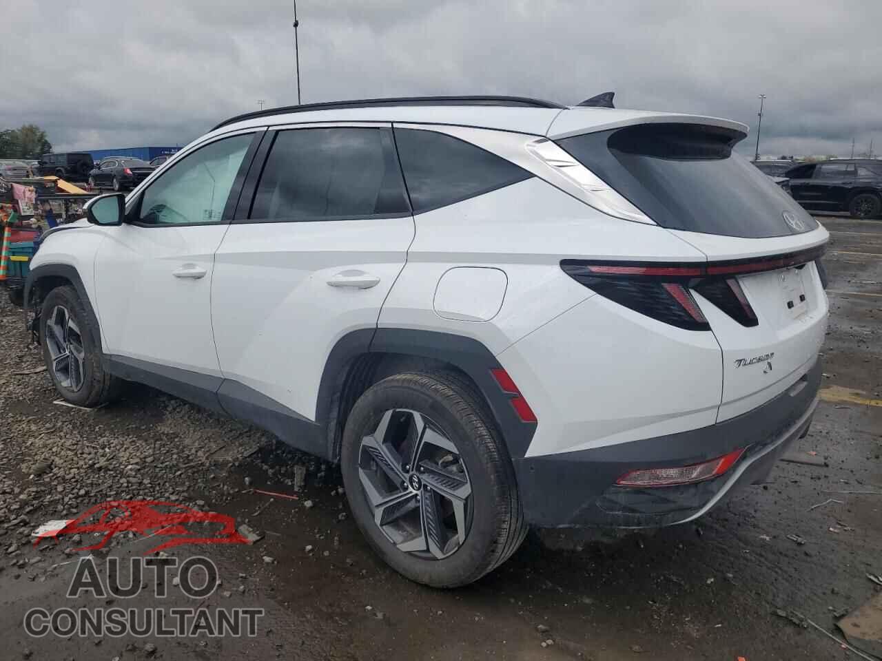 HYUNDAI TUCSON 2024 - KM8JECD19RU155755