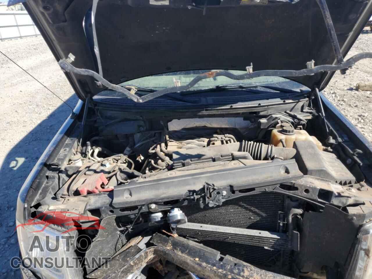 FORD F-150 2011 - 1FTFX1EF3BFB30668