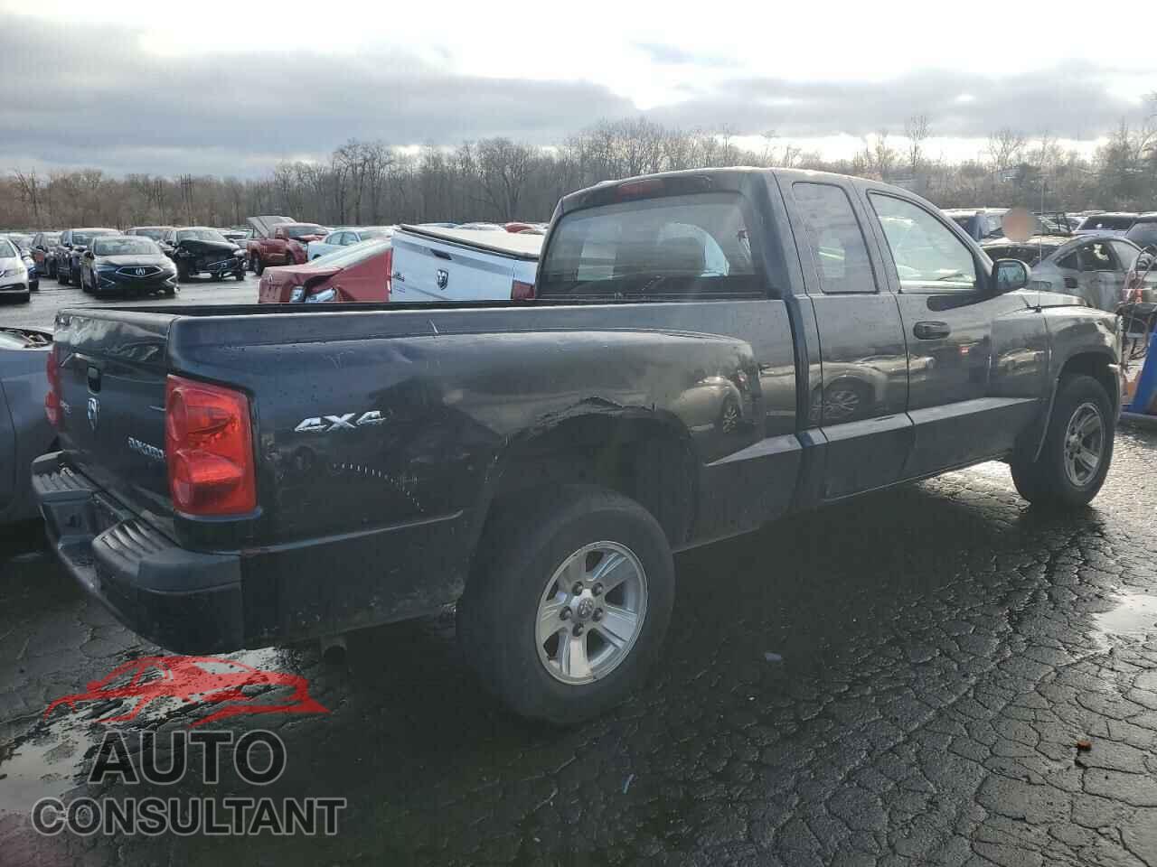 DODGE DAKOTA 2011 - 1D7RW2BK3BS602758