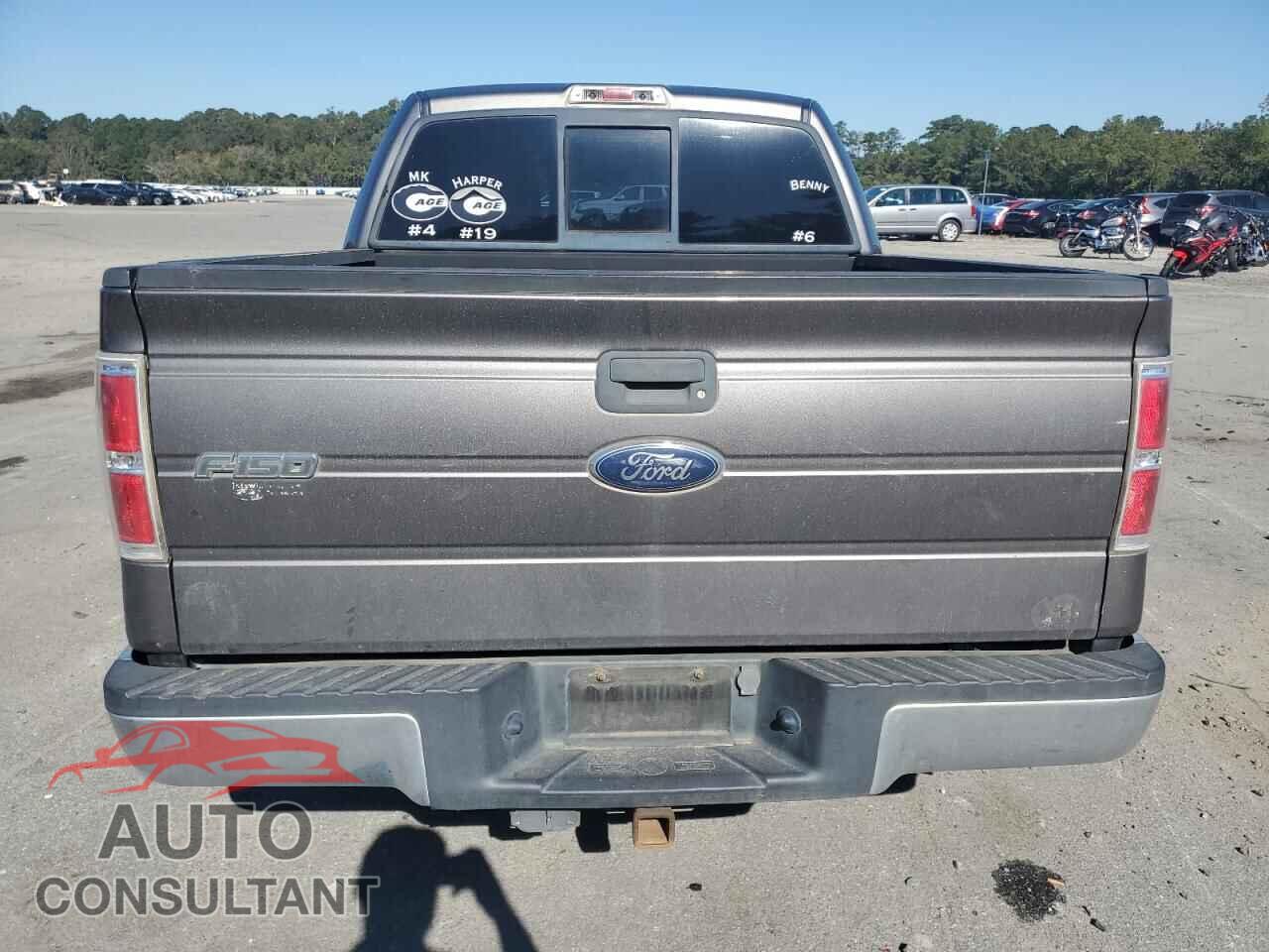 FORD F-150 2010 - 1FTEW1C80AFC81436