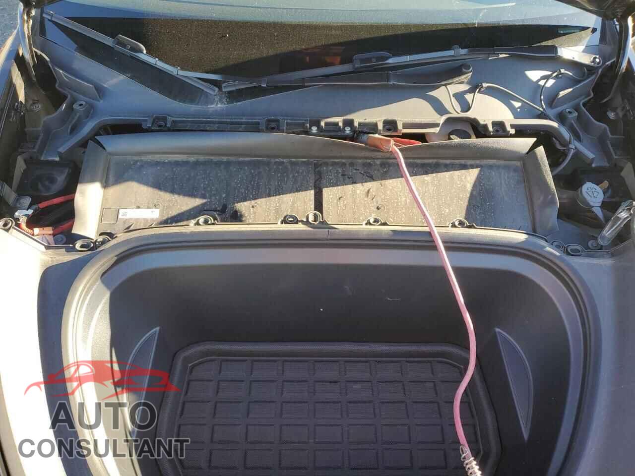 TESLA MODEL Y 2024 - 7SAYGDEE6RF149735