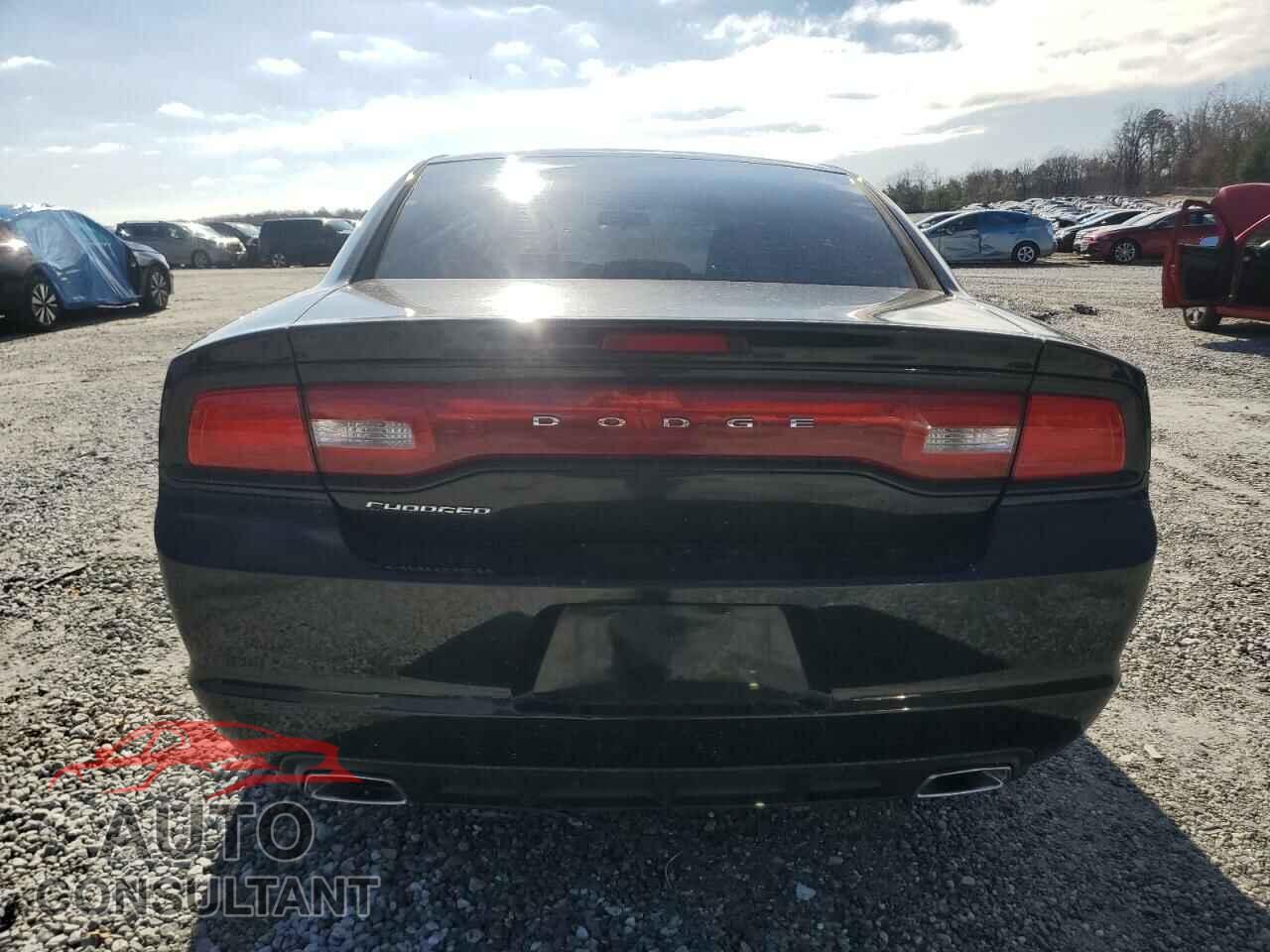 DODGE CHARGER 2014 - 2C3CDXBG2EH315197