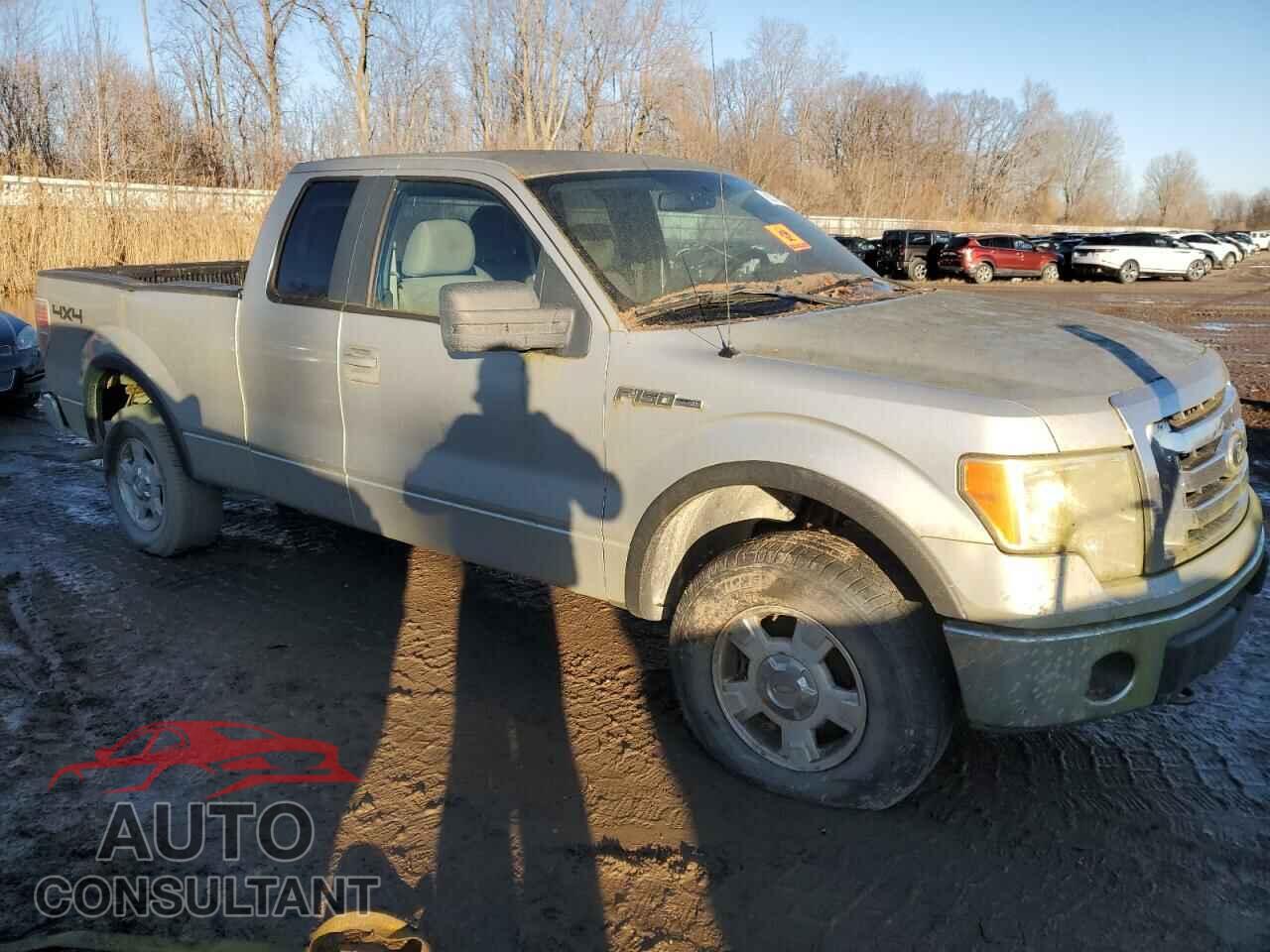 FORD F-150 2010 - 1FTFX1EV8AFA81196