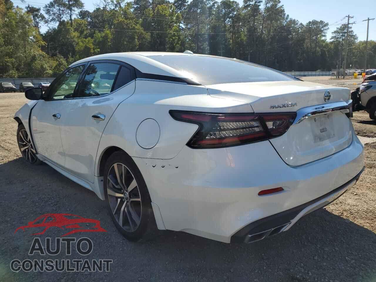 NISSAN MAXIMA 2019 - 1N4AA6AV8KC384843