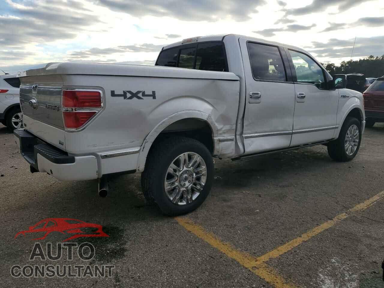 FORD F-150 2010 - 1FTFW1EV9AFD39325