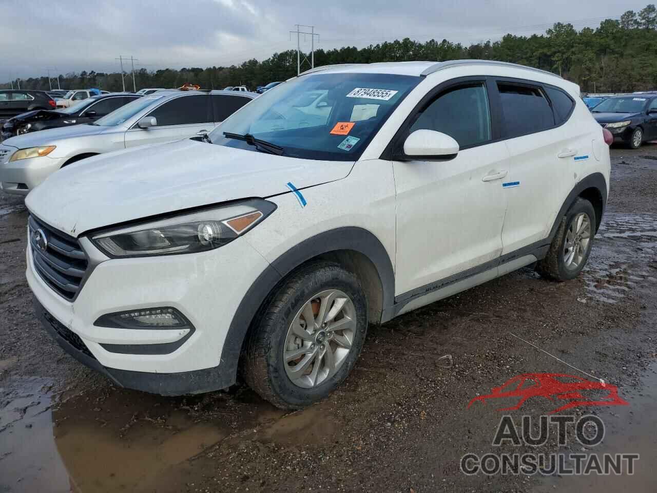 HYUNDAI TUCSON 2018 - KM8J33A45JU786379