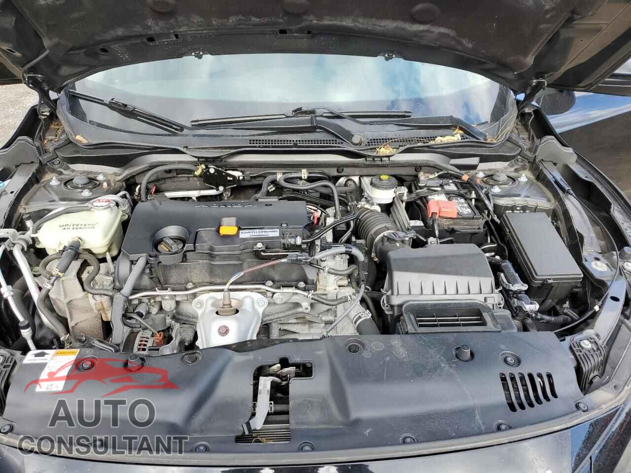 HONDA CIVIC 2019 - 2HGFC2F67KH522066