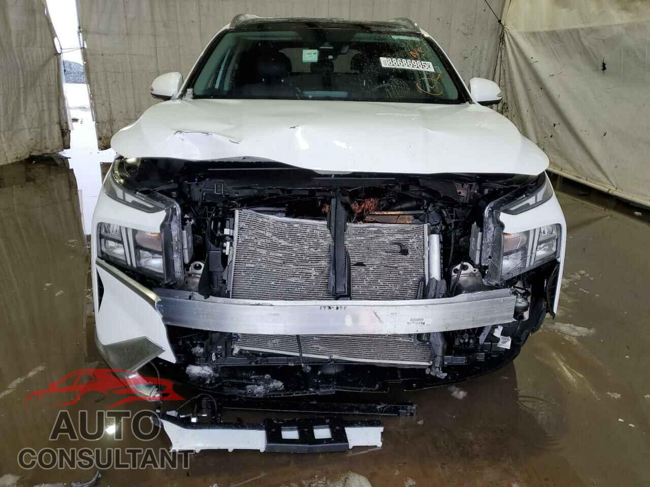 HYUNDAI SANTA FE 2023 - 5NMS3DAJ8PH637520