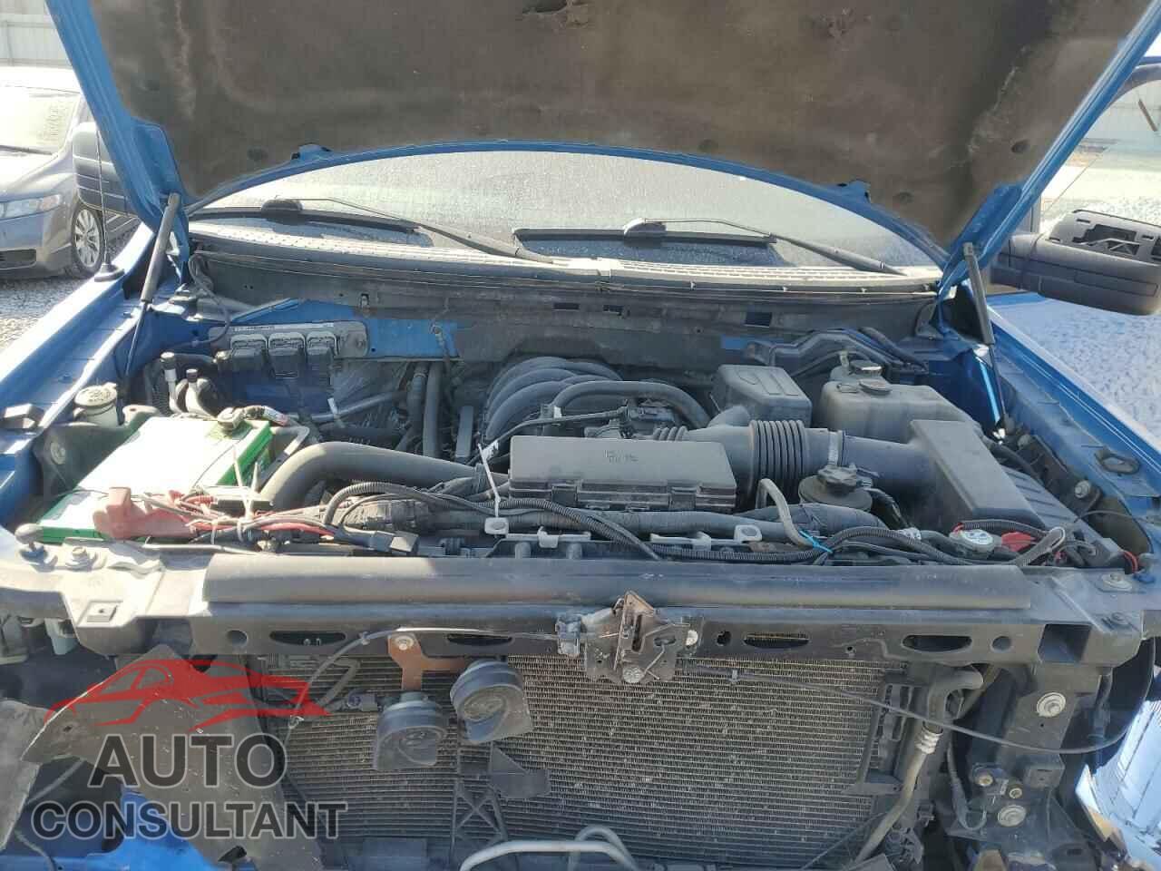 FORD F-150 2010 - 1FTFW1E86AFB57219