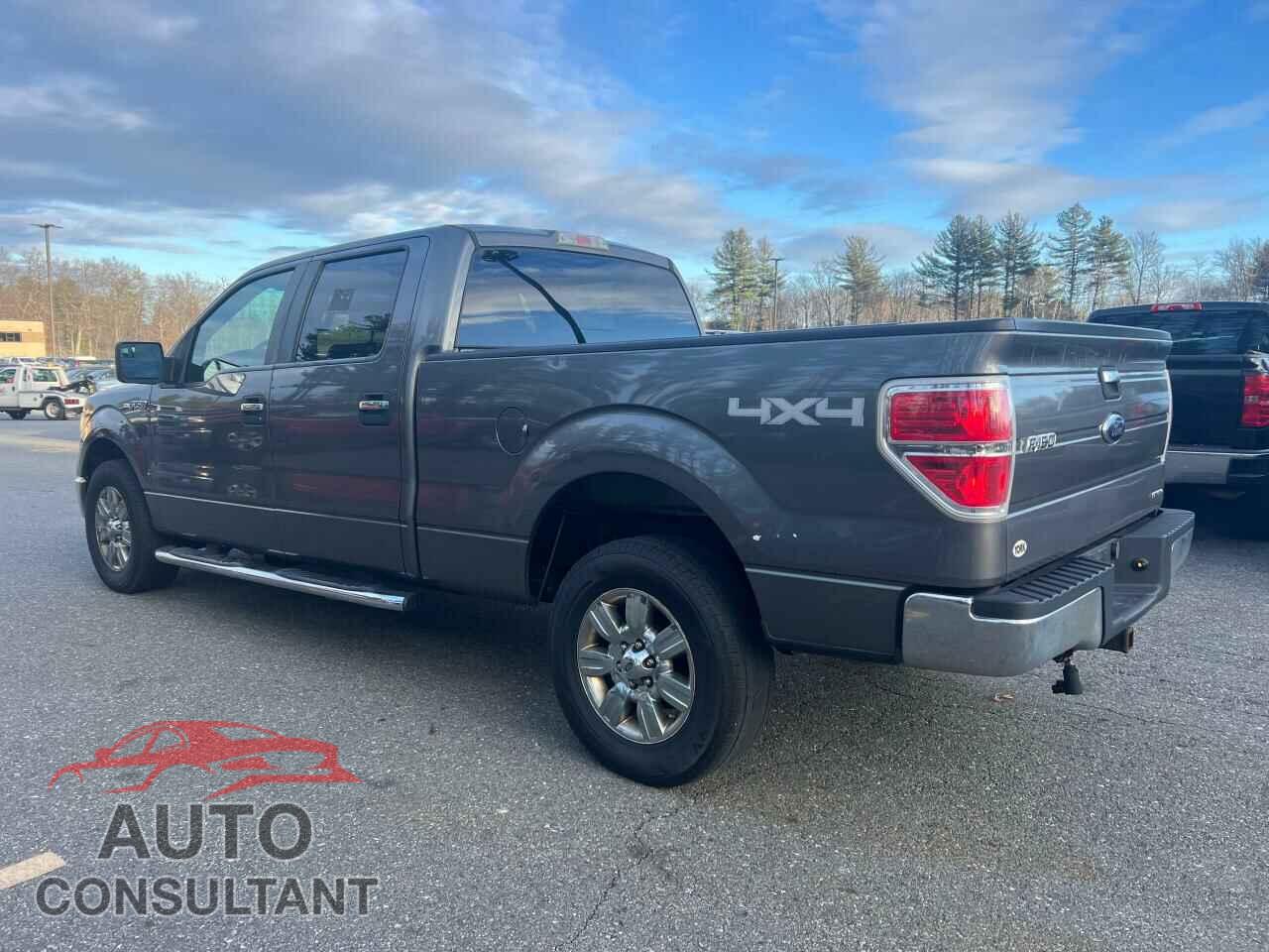 FORD F-150 2011 - 1FTFW1EF1BKD15909