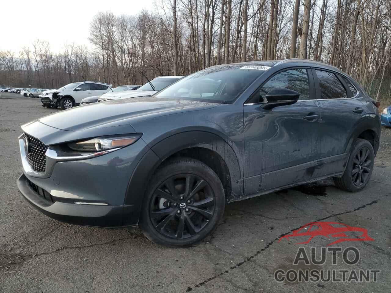 MAZDA CX30 2023 - 3MVDMBCM3PM500403
