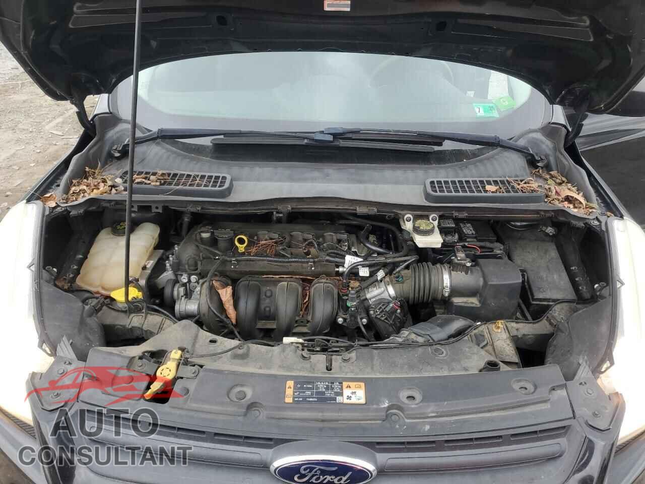 FORD ESCAPE 2014 - 1FMCU0F72EUE46409