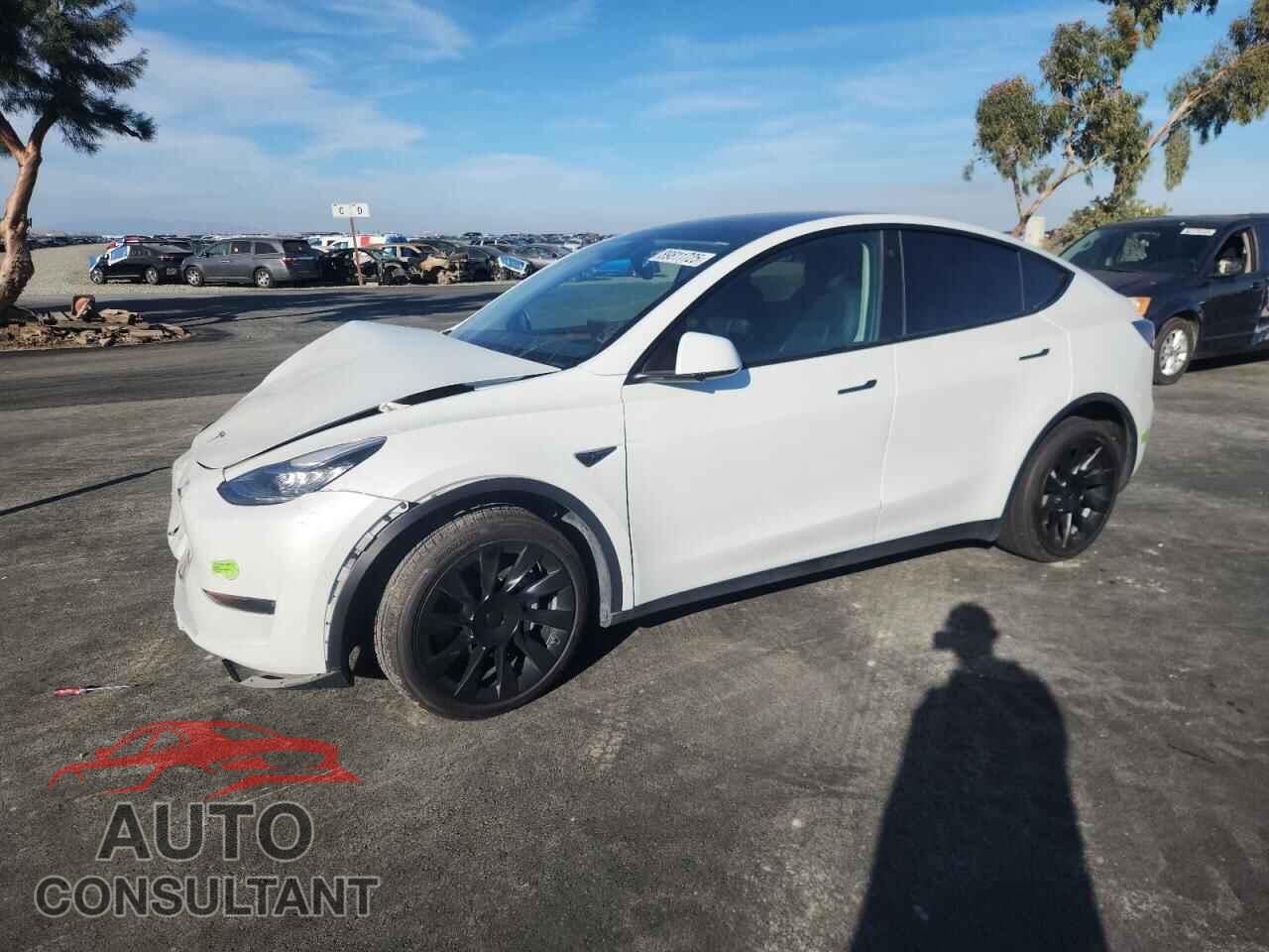 TESLA MODEL Y 2023 - 7SAYGDEE9PF585900