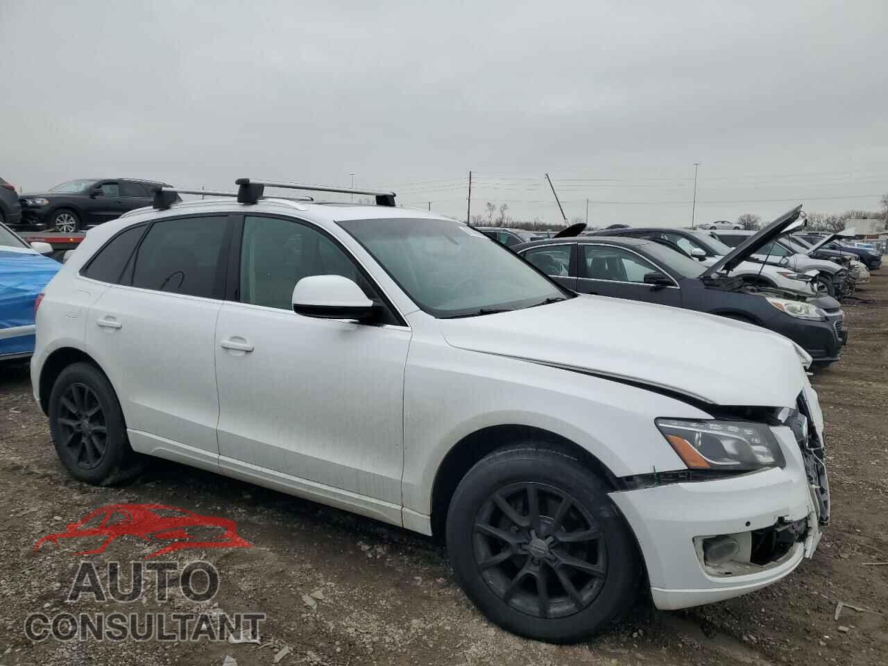 AUDI Q5 2011 - WA1LFAFP2BA109931