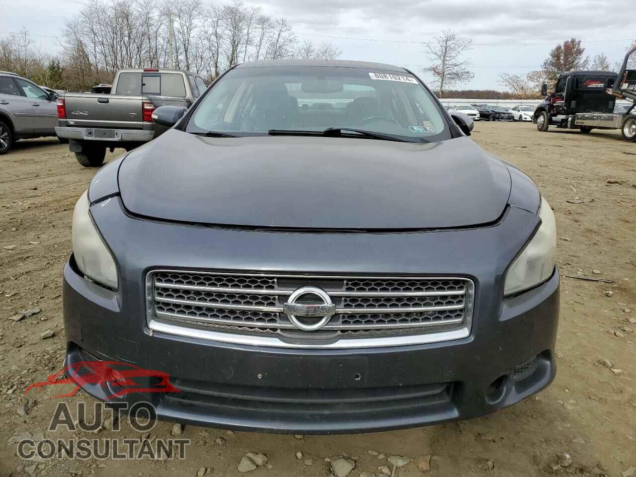 NISSAN MAXIMA 2010 - 1N4AA5AP3AC856991