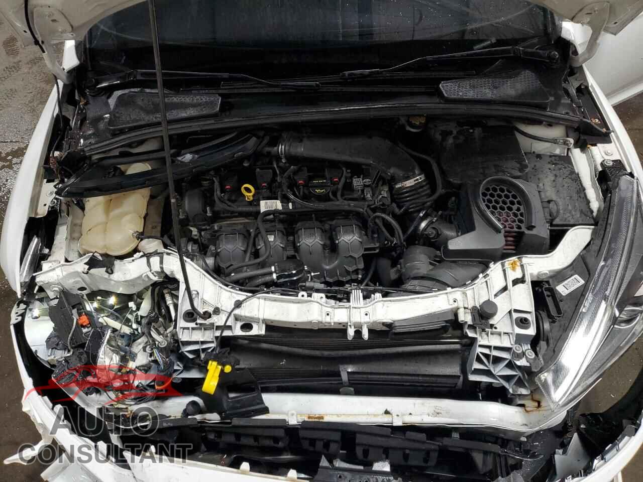FORD FOCUS 2016 - 1FADP3L94GL322664