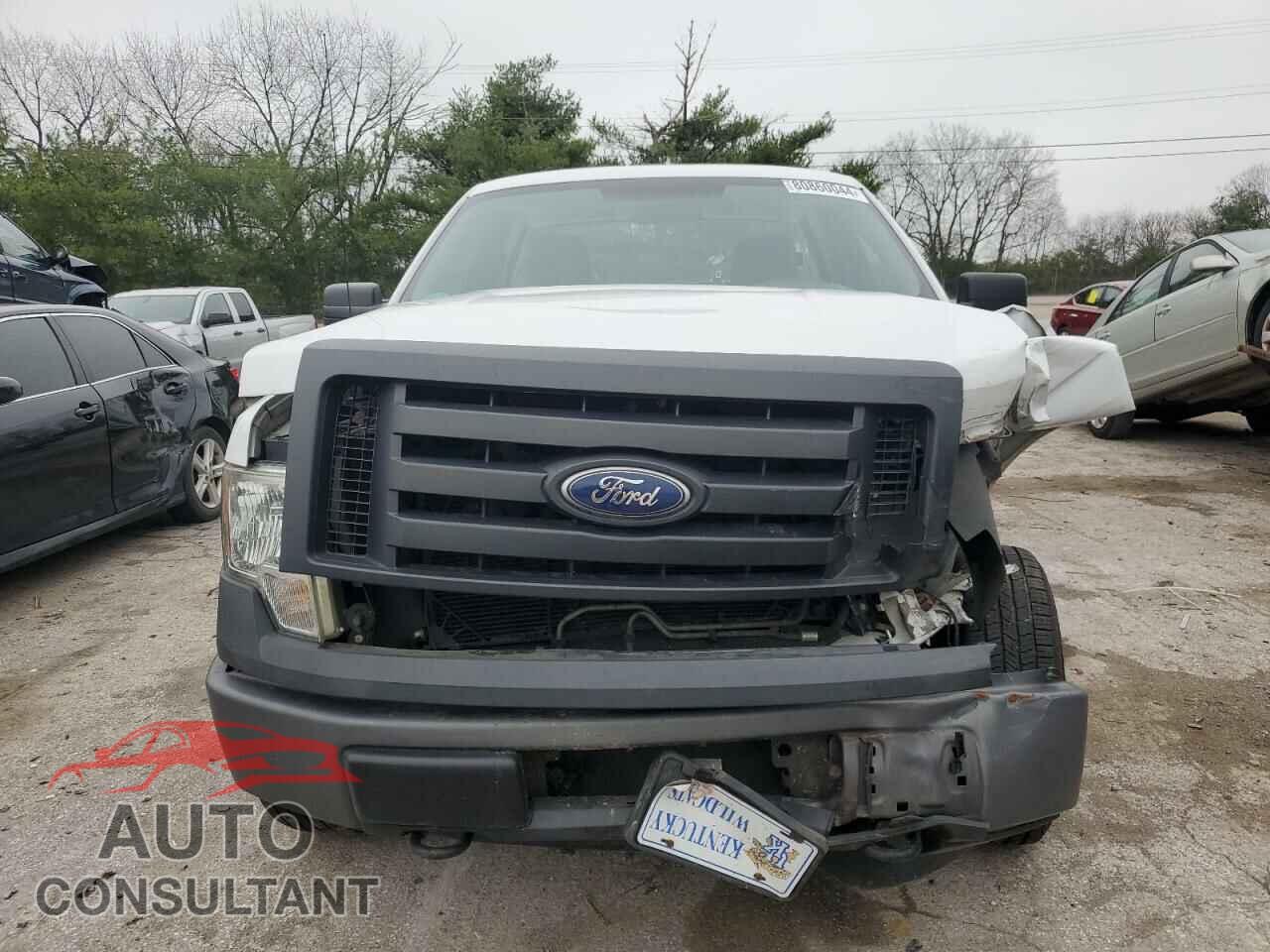 FORD F150 2010 - 1FTMF1EW5AFD75948