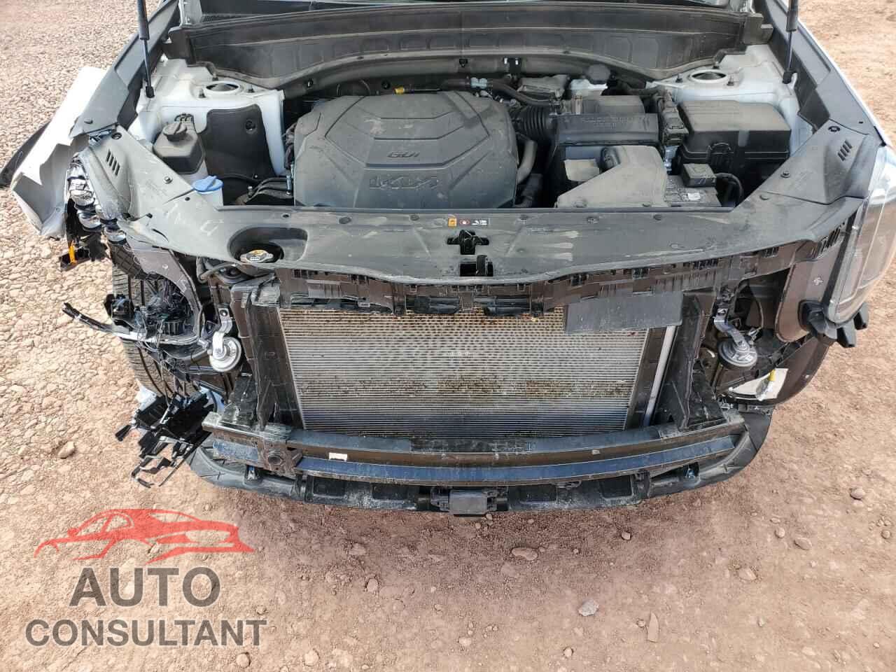 KIA TELLURIDE 2024 - 5XYP3DGC4RG522425