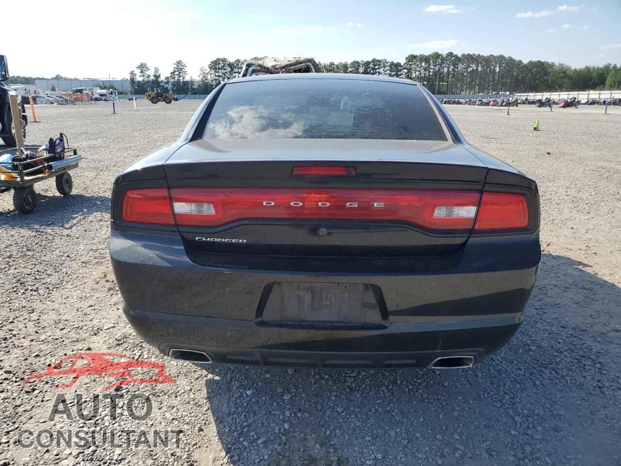 DODGE CHARGER 2013 - 2C3CDXAT2DH577203