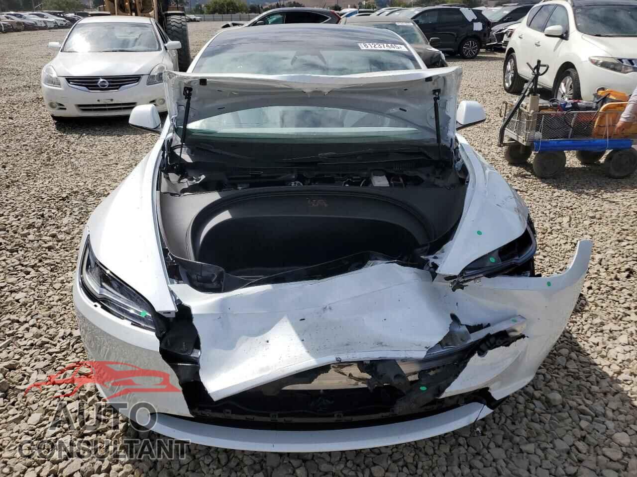 TESLA MODEL 3 2025 - 5YJ3E1EB3SF969102