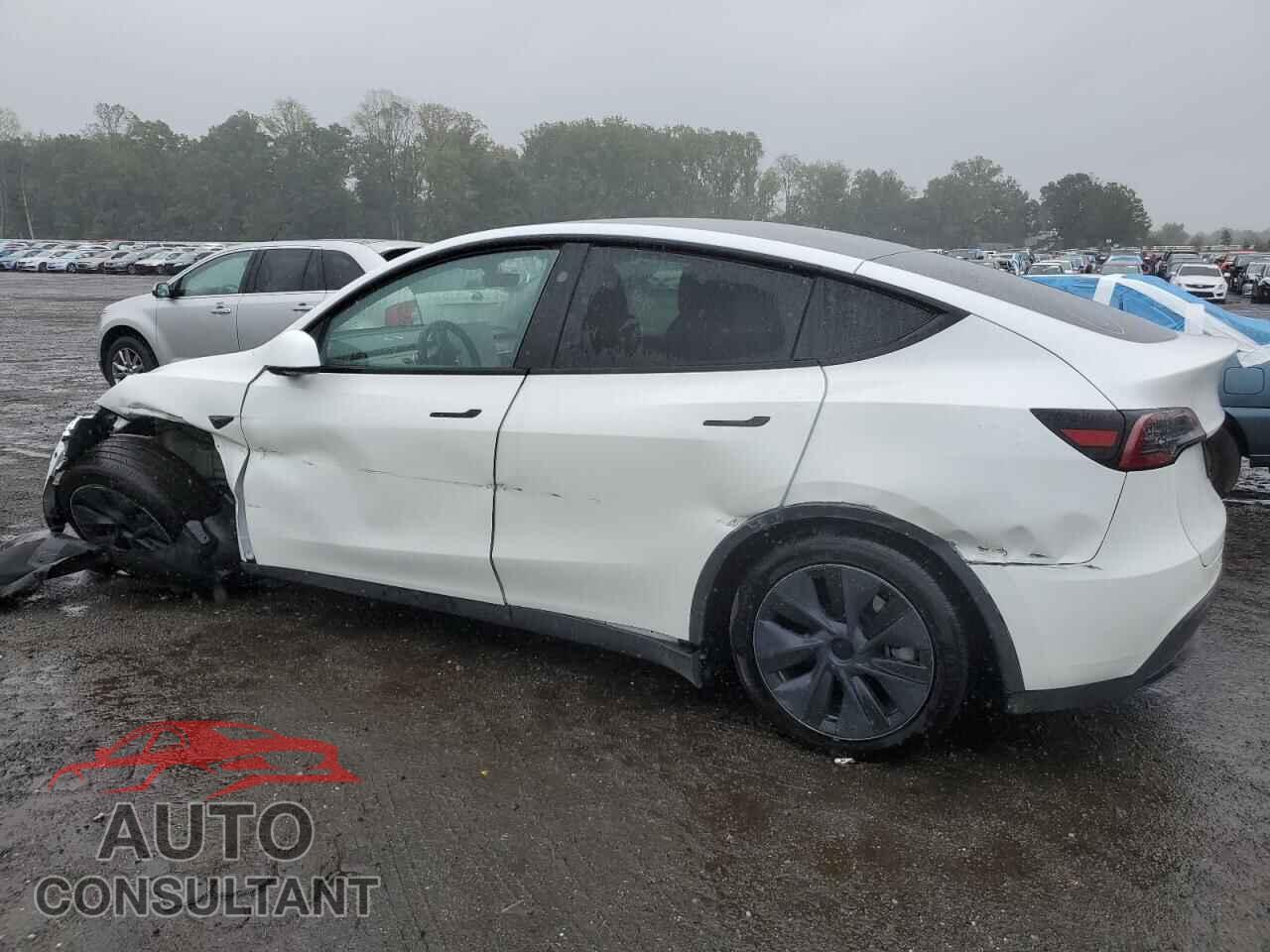 TESLA MODEL Y 2024 - 7SAYGDED2RF155524