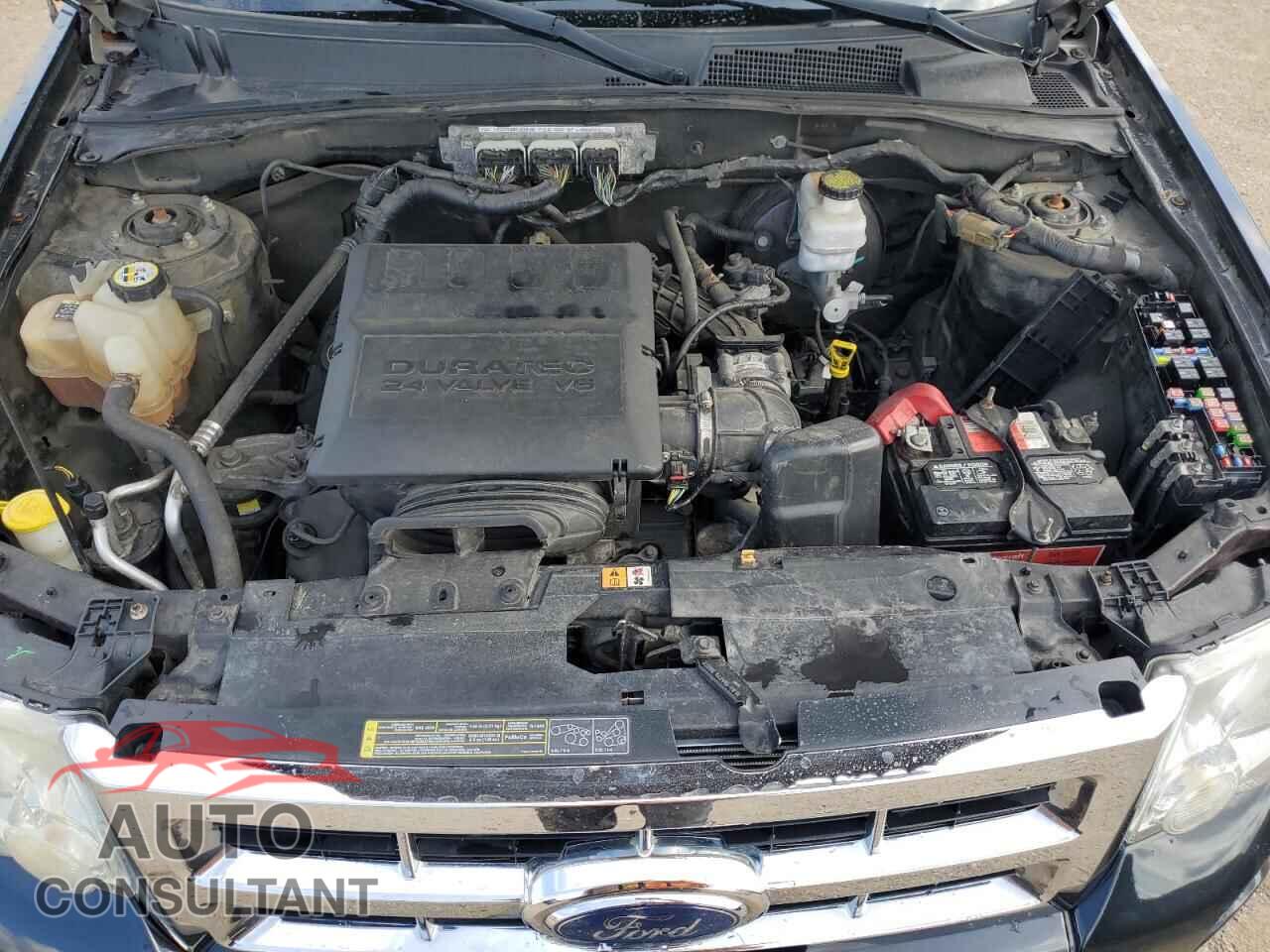 FORD ESCAPE 2011 - 1FMCU0DGXBKB78199