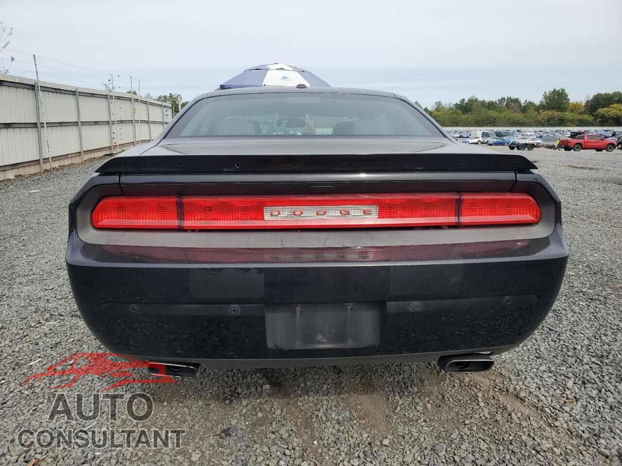 DODGE CHALLENGER 2014 - 2C3CDYBT0EH180305