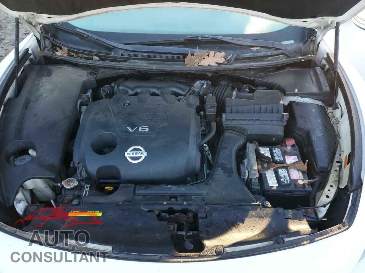 NISSAN MAXIMA 2011 - 1N4AA5AP6BC829558