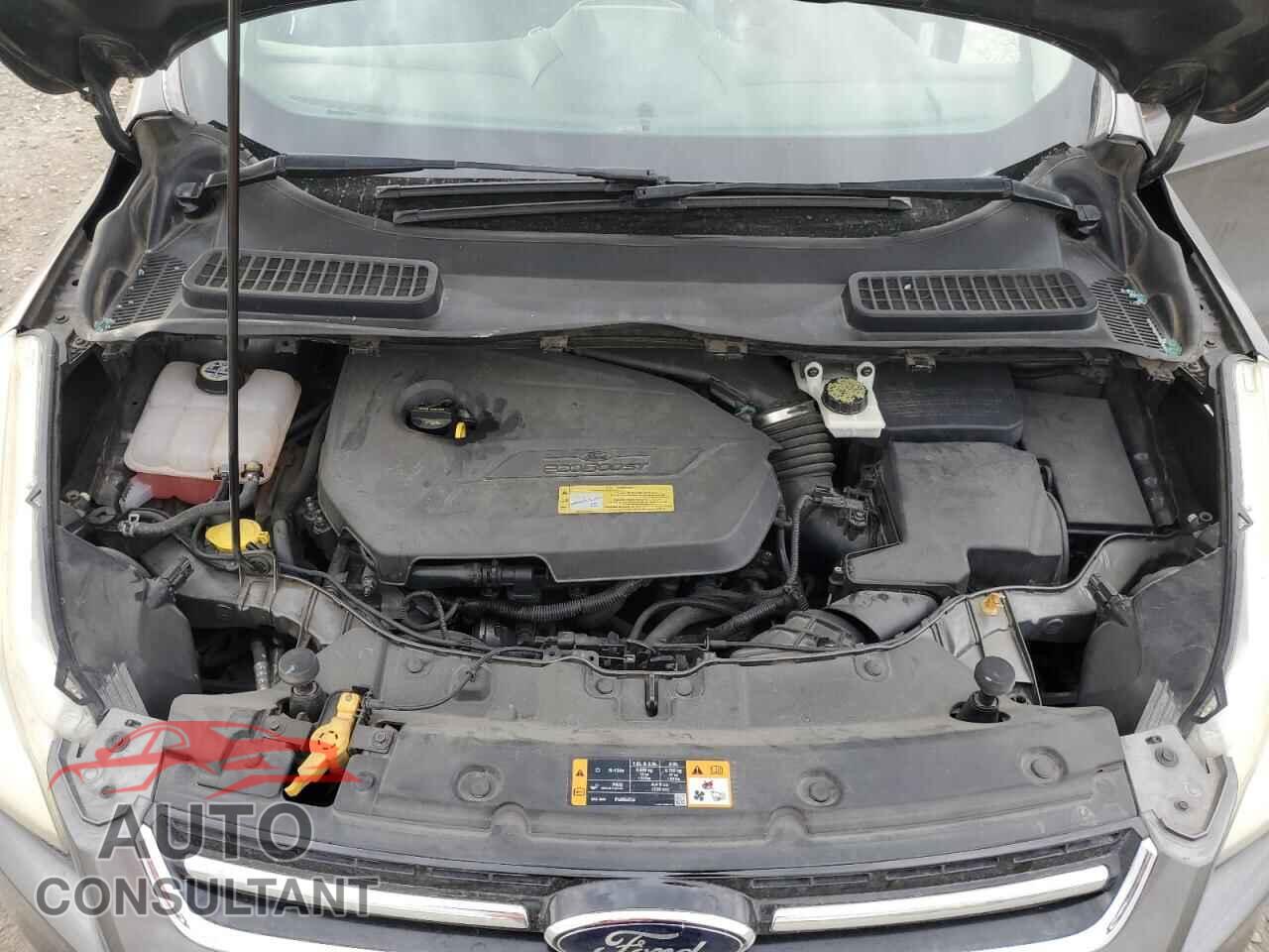 FORD ESCAPE 2013 - 1FMCU0HX5DUC46538