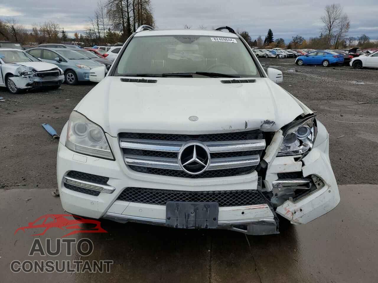 MERCEDES-BENZ GL-CLASS 2011 - 4JGBF7BE7BA691934