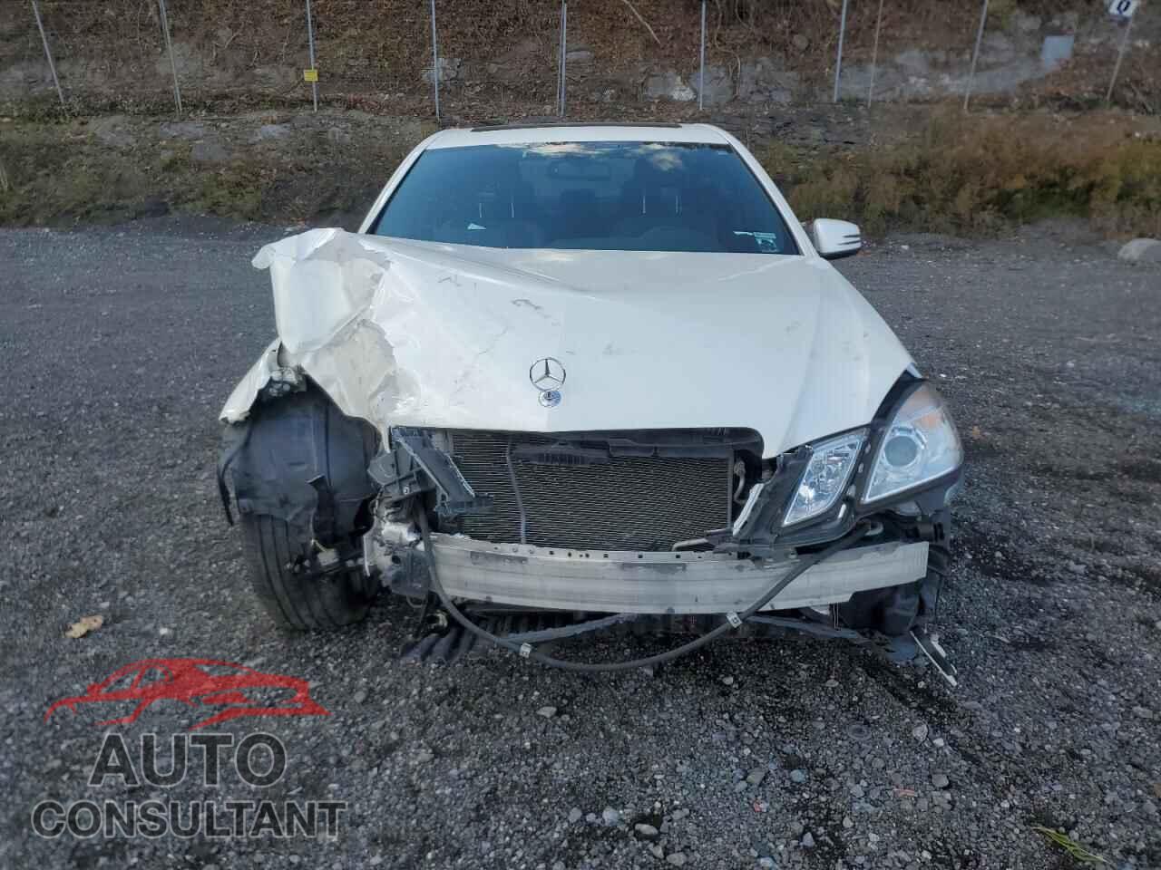 MERCEDES-BENZ E-CLASS 2013 - WDDHF8JB5DA712297