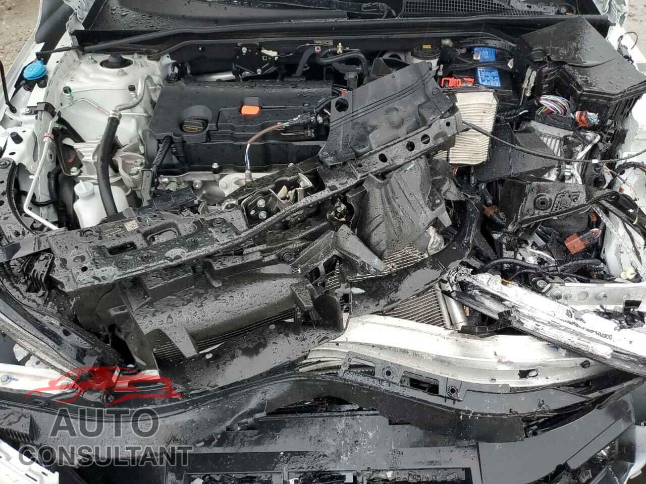 HONDA CIVIC 2023 - 2HGFE2F51PH558649