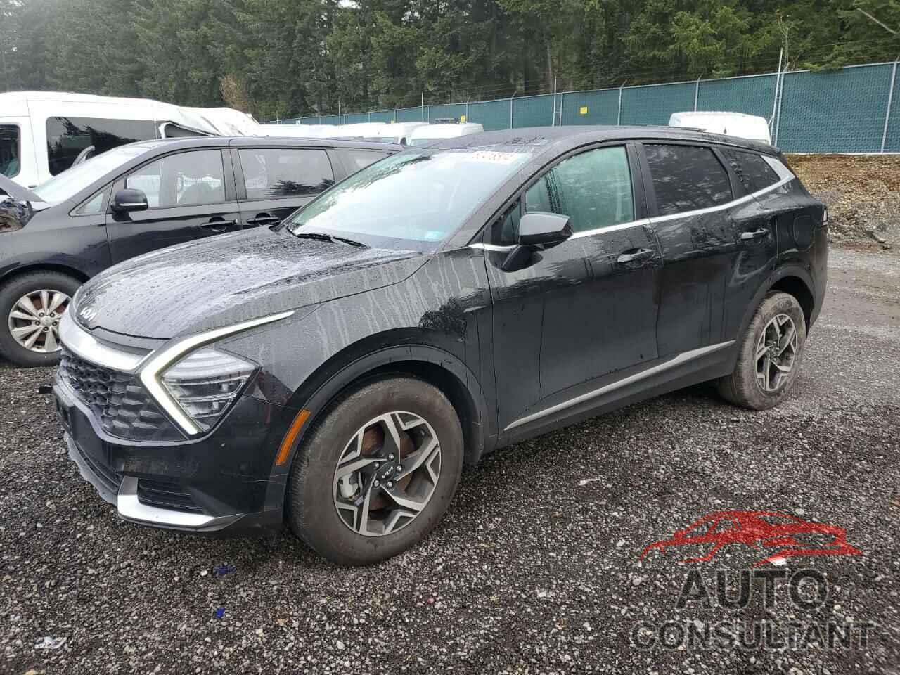 KIA SPORTAGE 2024 - KNDPUCDF0R7244223