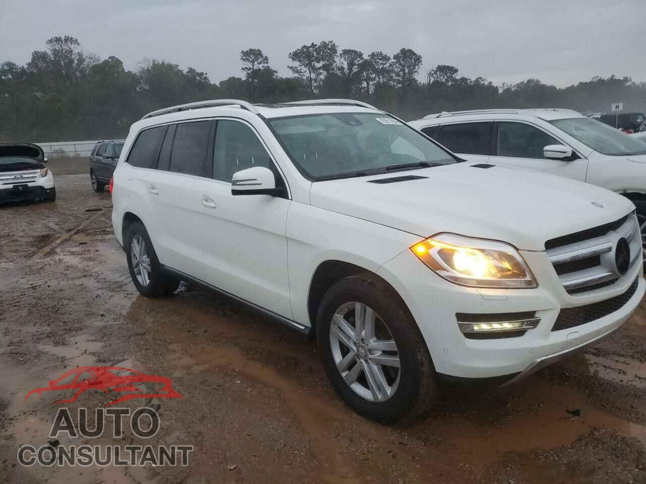 MERCEDES-BENZ GL-CLASS 2013 - 4JGDF7CE6DA216981