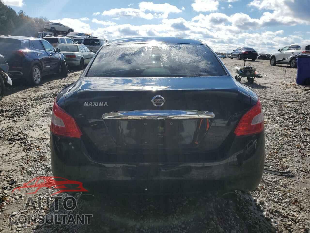 NISSAN MAXIMA 2011 - 1N4AA5AP8BC861119