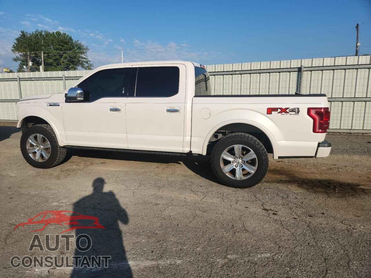 FORD F-150 2015 - 1FTEW1EFXFFB38142