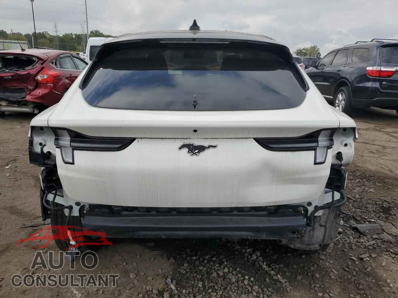 FORD MUSTANG 2023 - 3FMTK3R4XPMA61003